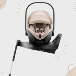Britax Römer Cadeira Auto Baby-Safe Pro - Teak STYLE