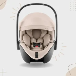 Britax Römer Cadeira Auto Baby-Safe Pro - Teak STYLE