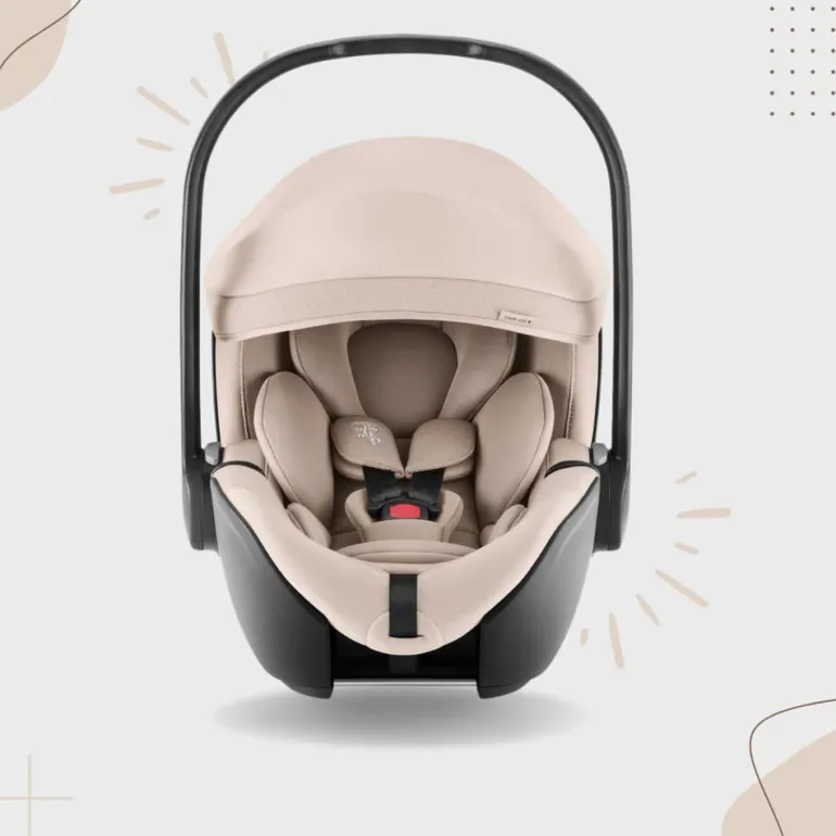 Britax Römer Cadeira Auto Baby-Safe Pro - Teak STYLE