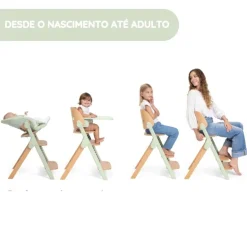 Chicco Cadeira da Papa Meraviglia - Fossil