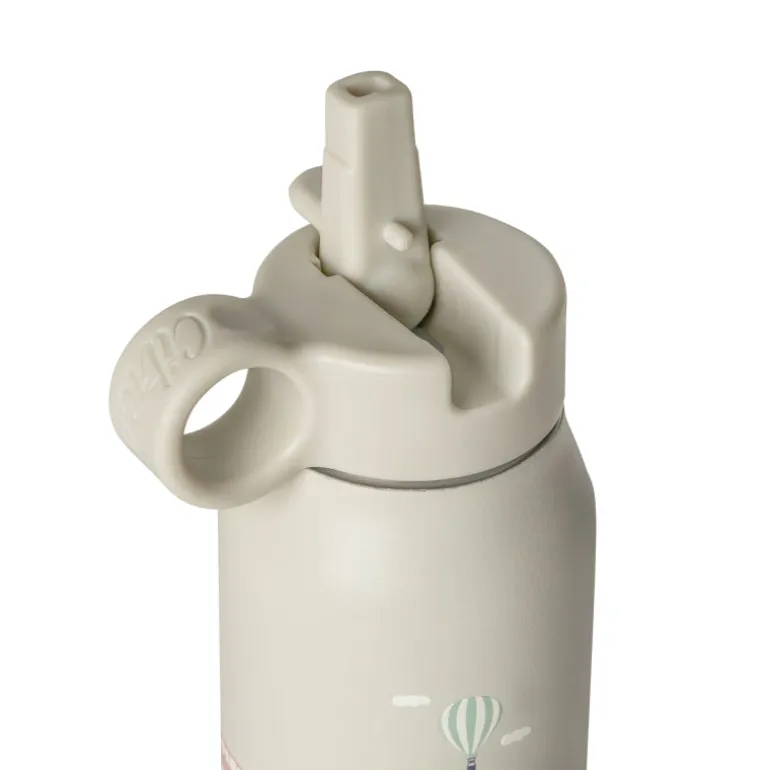 Citron Garrafa Térmica 250ml - Carros