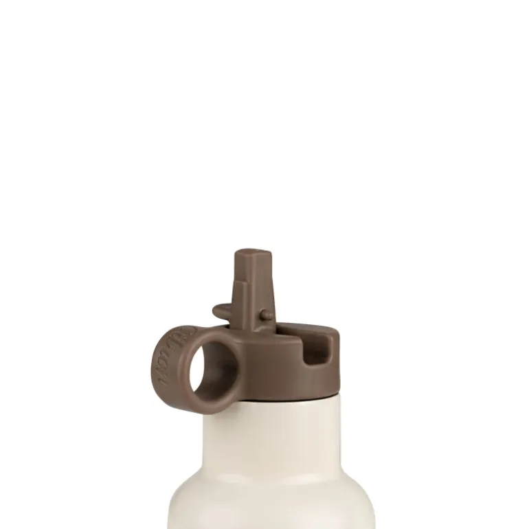 Citron Garrafa Térmica 250ml - Limão