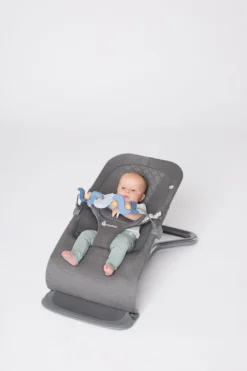Ergobaby Barra de Brinquedos para Espreguiçadeira Evolve - Serene Swells