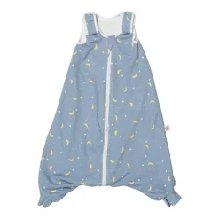 Ergobaby Saco de dormir On the Move 6-18m Tog 2,5 - Stellar