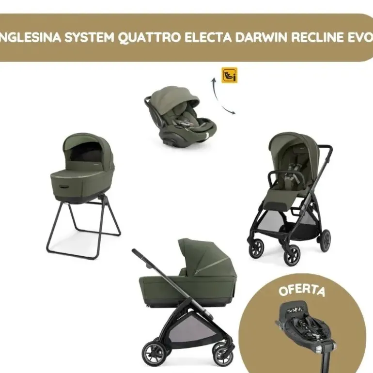 Inglesina System Quattro Electa Darwin Recline Evo - Loft Green