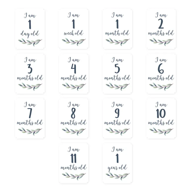 Lulujo - Manta Cenário de Fotografias - Hello World Wreath
