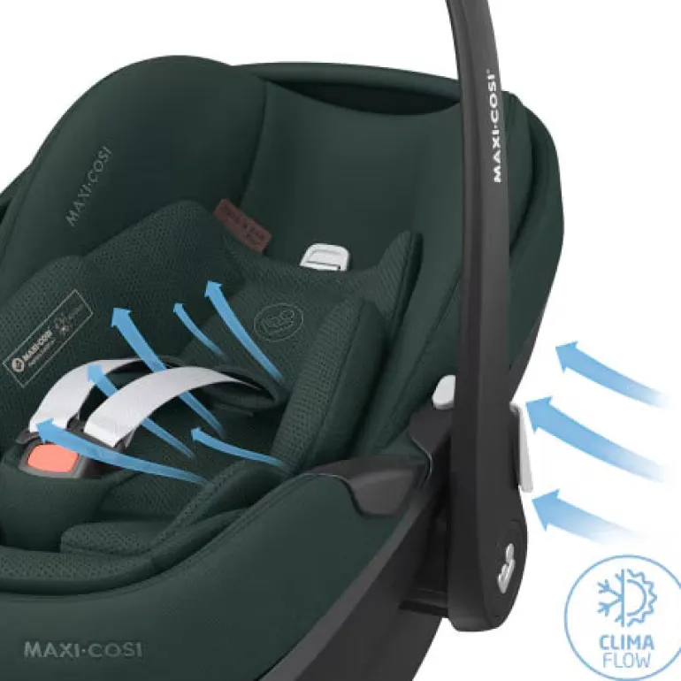 Maxi-Cosi Cadeira Auto Pebble 360 Pro2 - Twillic Green