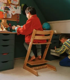 Stokke Tripp Trapp Cadeira Evolutiva (Faia) - Wild Wood
